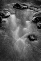 Natural Abstractions